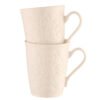 eberton Classic Field of Shamrock Mugs Set of 2