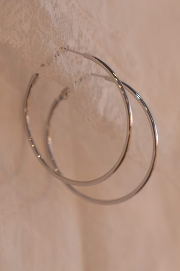 Stainless Steel Hoop Earrings