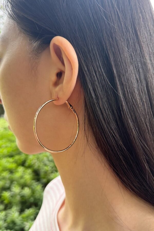 Large Hoop Earrings