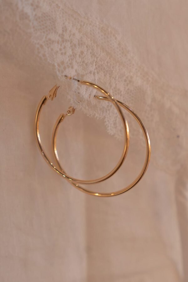 Large Hoop Earrings